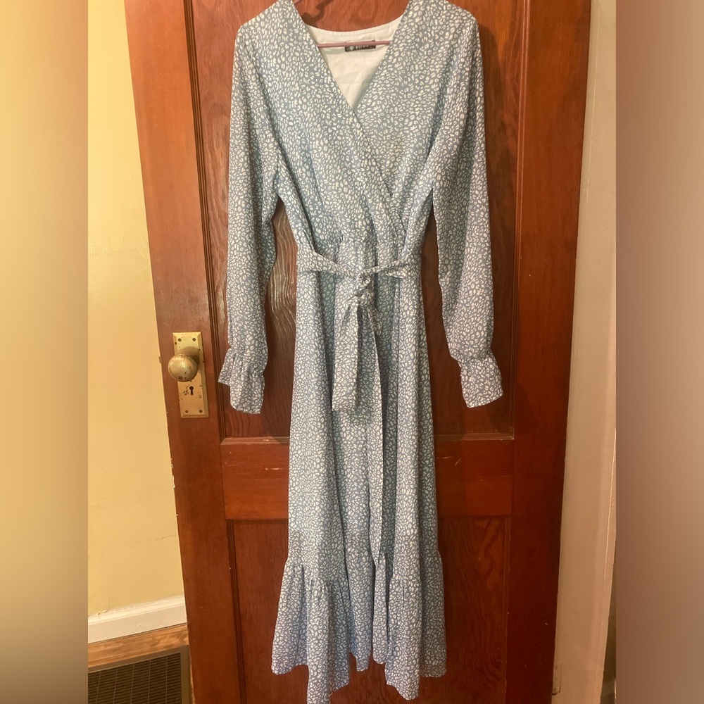 Long sleeve blue and white leopard print maxi dress.
